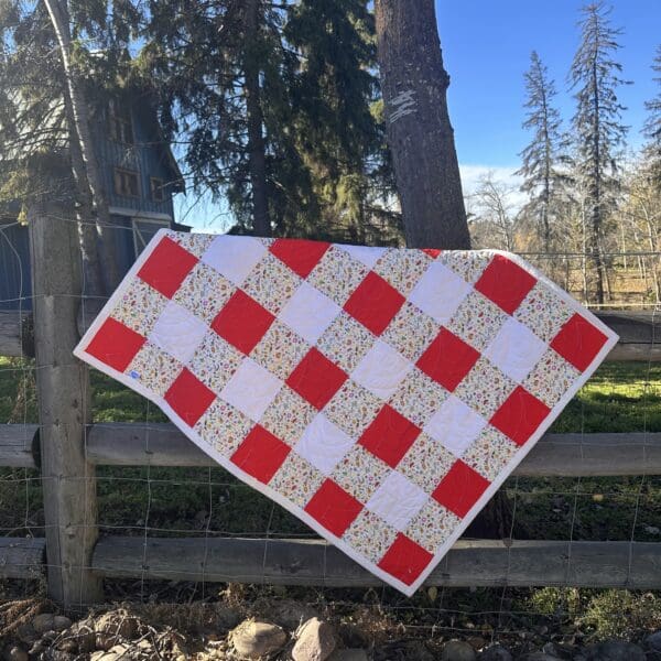 liberty gingham 1 liberty gingham 1